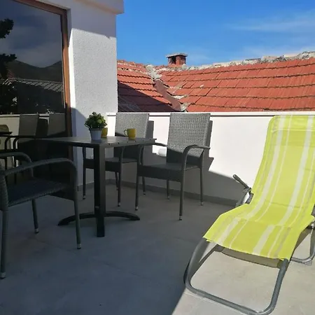 Mira تريبينيي